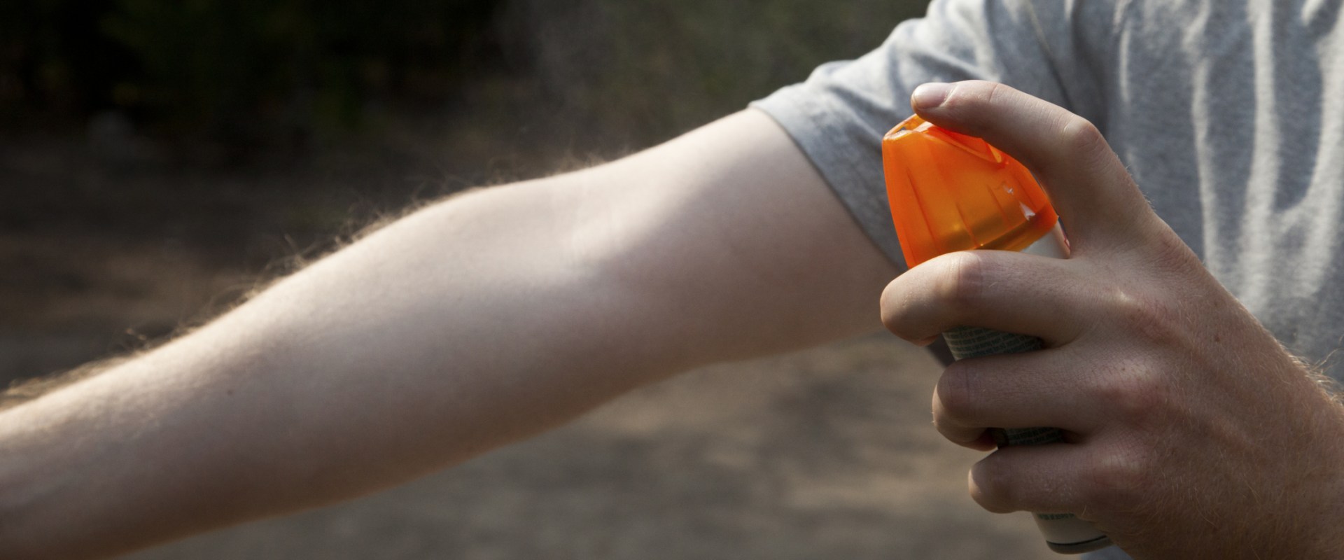 What happens to bugs when sprayed?