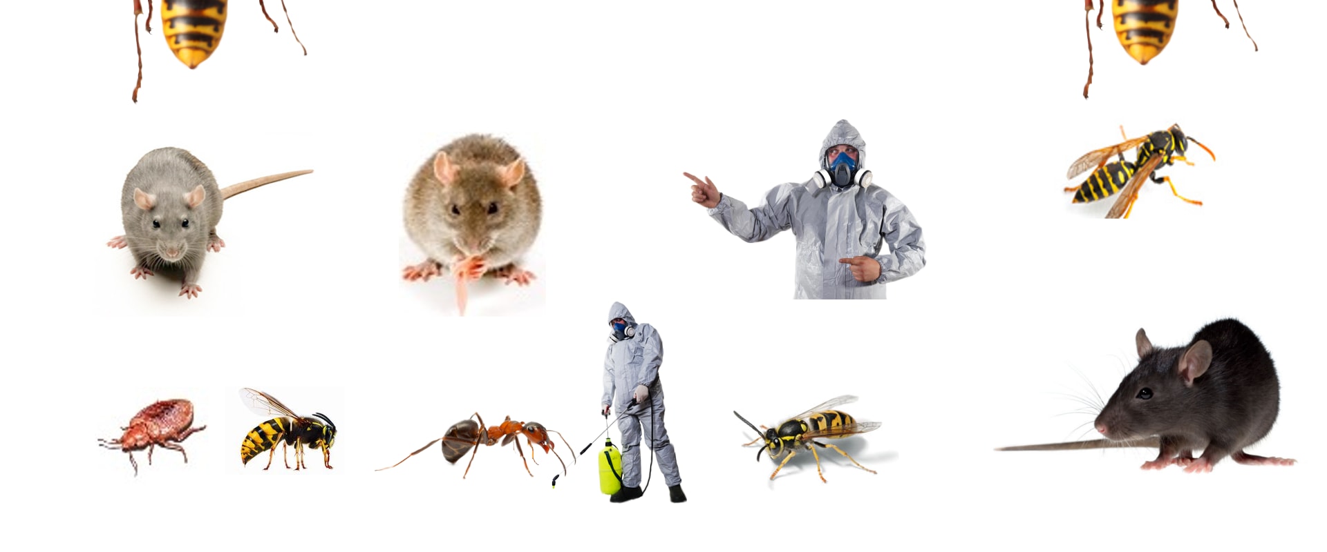 Is indoor pest control safe?
