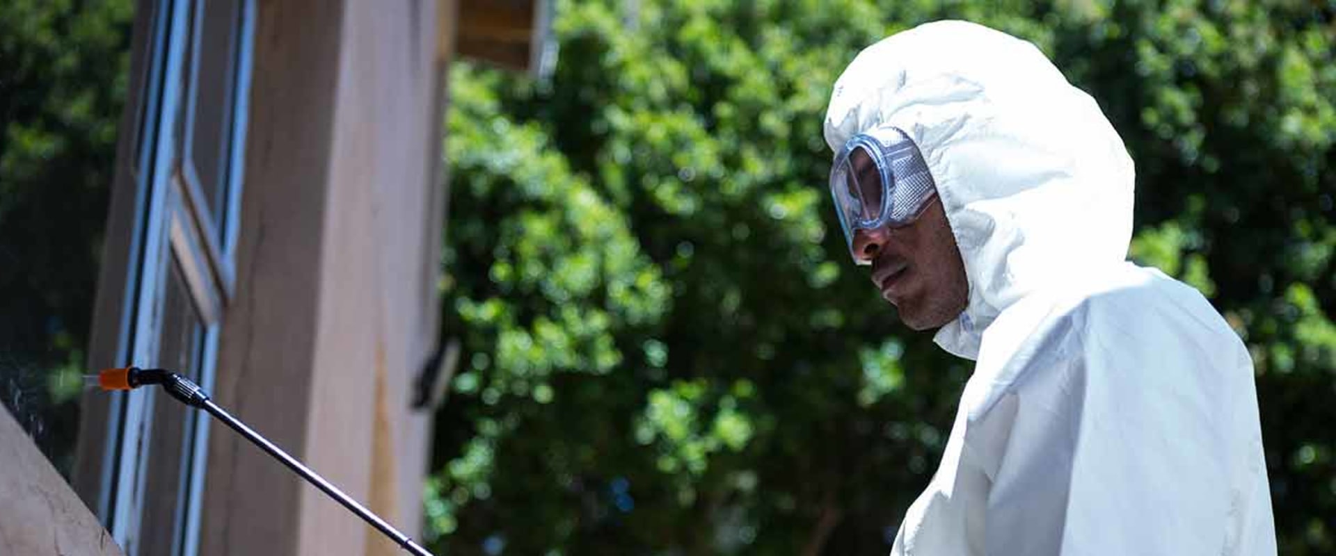 Is it better to spray inside or outside for bugs?