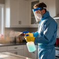 Protecting Your Space: Why Indoor Pest Control Is Essential For Orlando Homes