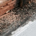 Why Homeowners Should Address Indoor Pest Problems Before They Affect Structural Components