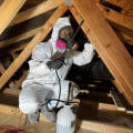 Protect Your Home with Flood Restoration & Pest Control in Beaverton