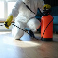 Indoor Pest Control Insights for Managing Pests in Utility Areas