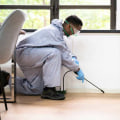Effective Indoor Pest Control in Sheffield