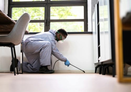 Indoor Pest Control and the Importance of Inspecting Wall and Wiring Spaces