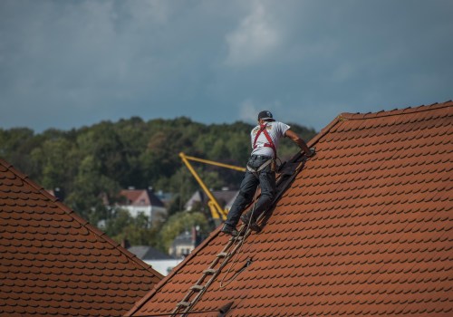 Protect Your Home: Roofing Solutions and Pest Control