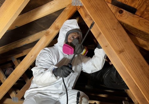 Protect Your Home with Flood Restoration & Pest Control in Beaverton
