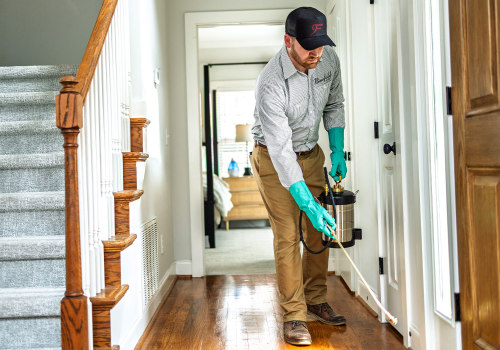 Effective Indoor Pest Control During Residential Construction