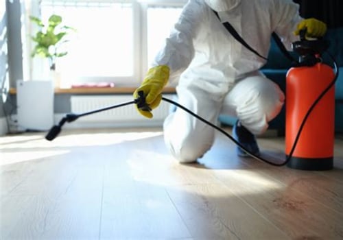 Indoor Pest Control Insights for Managing Pests in Utility Areas