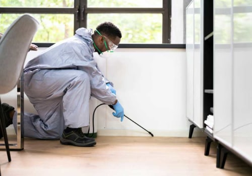 Effective Indoor Pest Control in Sheffield